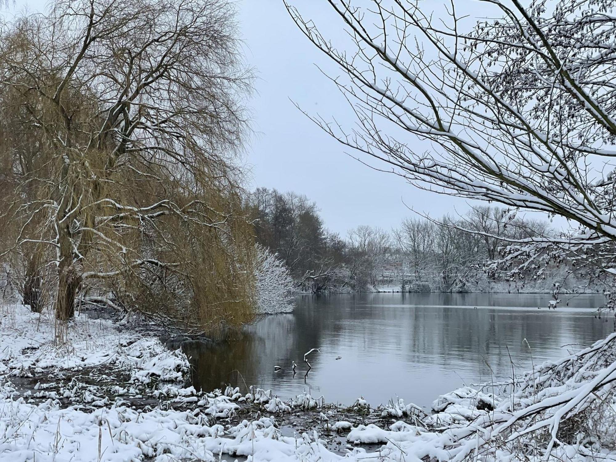 Flat In Eutin On The Kleiner Eutiner See Lake 外观 照片