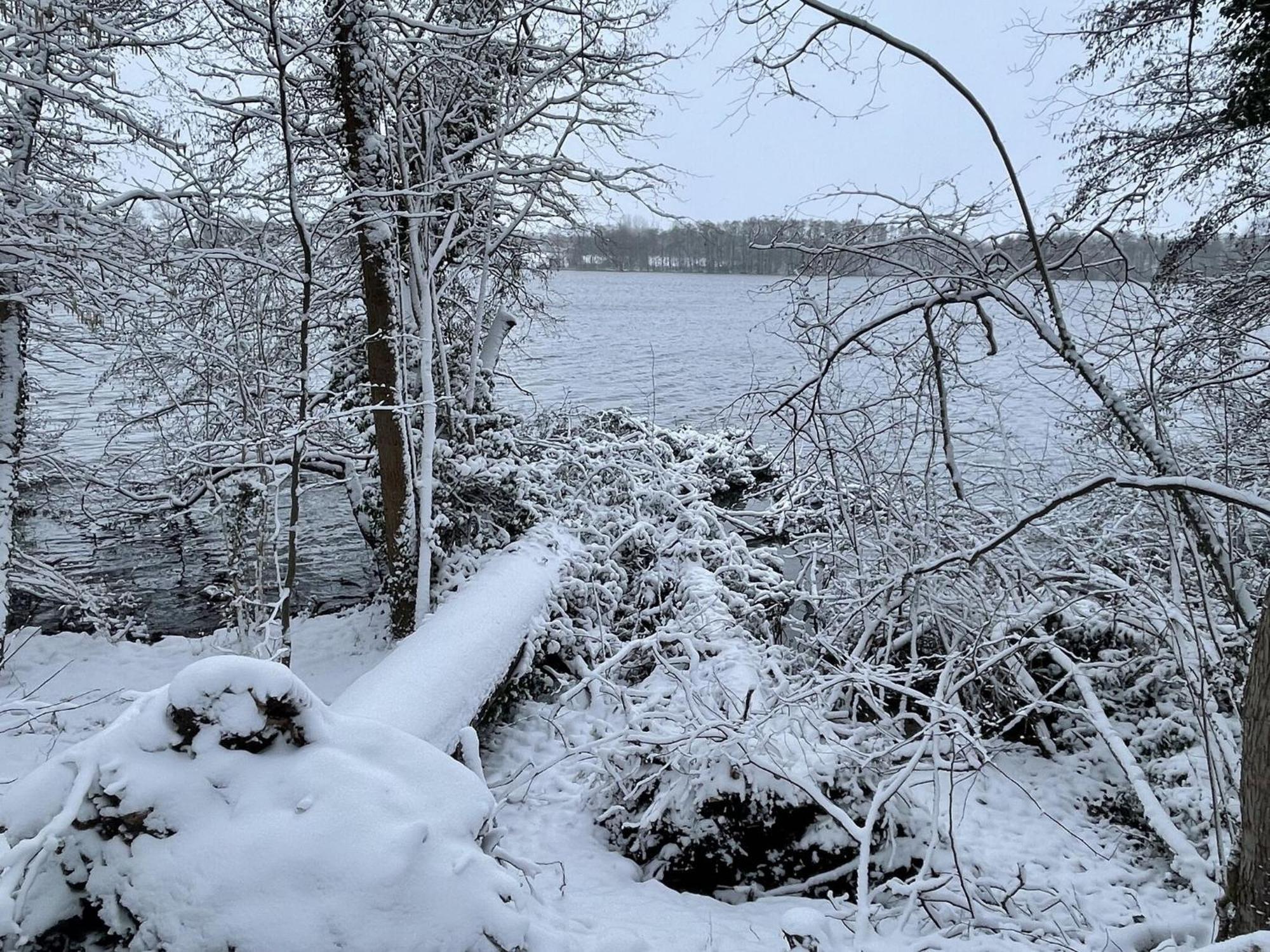 Flat In Eutin On The Kleiner Eutiner See Lake 外观 照片
