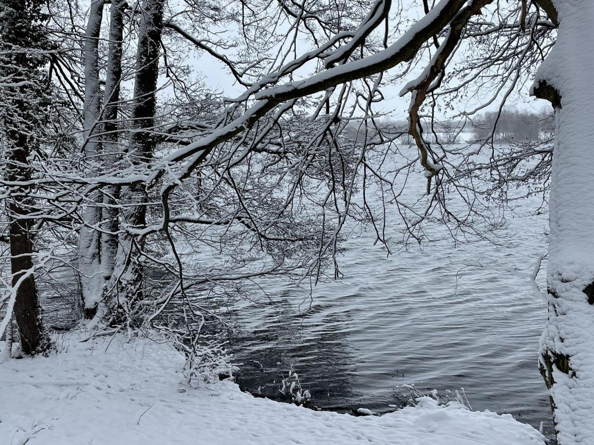 Flat In Eutin On The Kleiner Eutiner See Lake 外观 照片