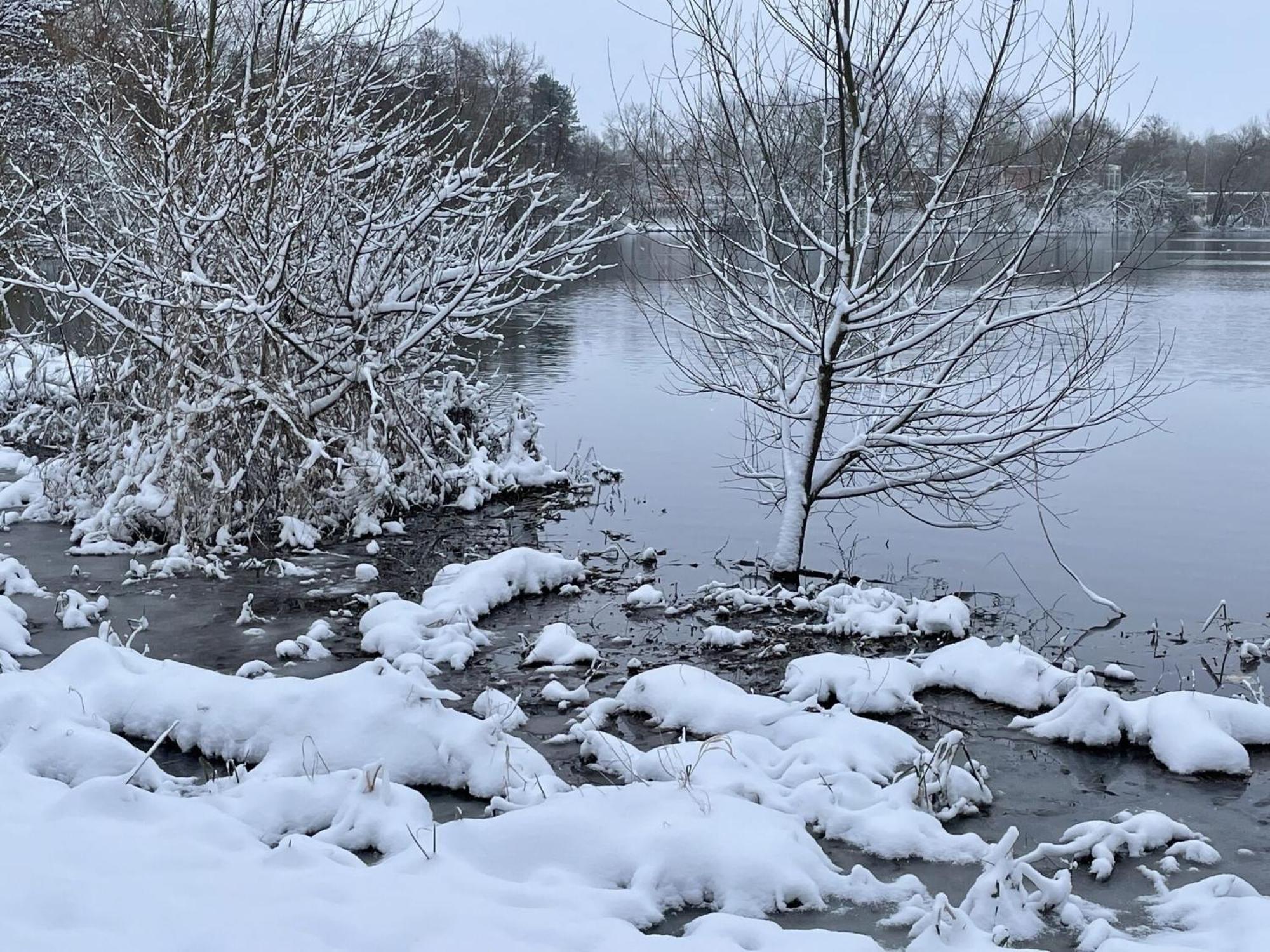 Flat In Eutin On The Kleiner Eutiner See Lake 外观 照片
