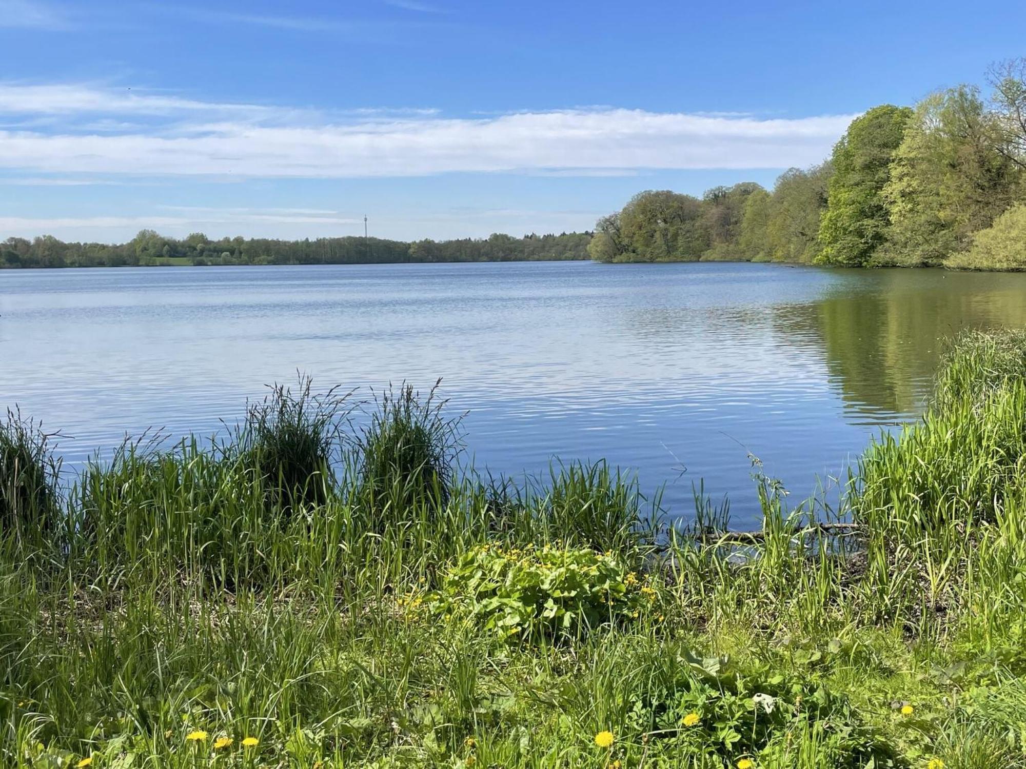 Flat In Eutin On The Kleiner Eutiner See Lake 外观 照片